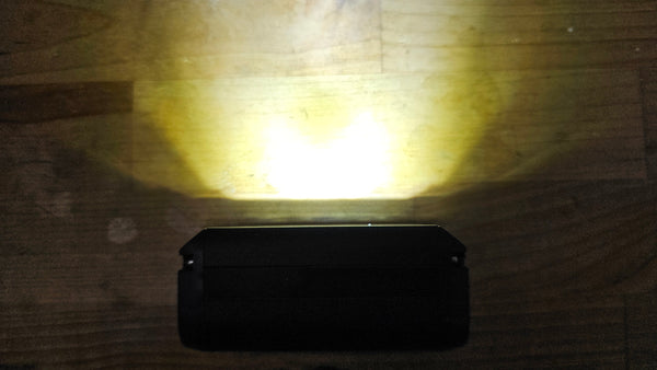 Wendigo Helmet Visor Light