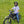 Moto Kids Heavy Duty Cotton Tee